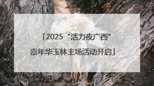2025“活力夜广西”嘉年华玉林主场活动开启
