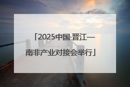2025中国·晋江—南非产业对接会举行