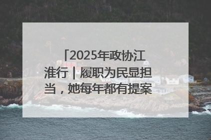 2025年政协江淮行｜履职为民显担当，她每年都有提案被评为“优秀”