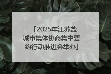 2025年江苏盐城市集体协商集中要约行动推进会举办