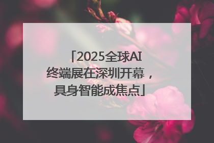 2025全球AI终端展在深圳开幕，具身智能成焦点