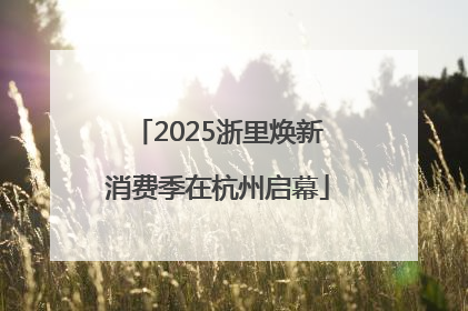 2025浙里焕新消费季在杭州启幕