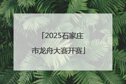 2025石家庄市龙舟大赛开赛