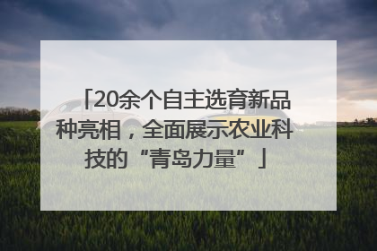 20余个自主选育新品种亮相，全面展示农业科技的“青岛力量”