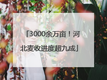 3000余万亩！河北麦收进度超九成