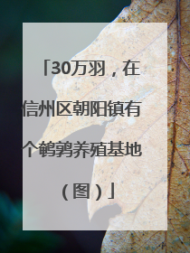 30万羽，在信州区朝阳镇有个鹌鹑养殖基地（图）