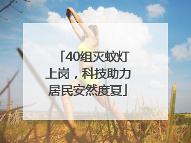 40组灭蚊灯上岗，科技助力居民安然度夏