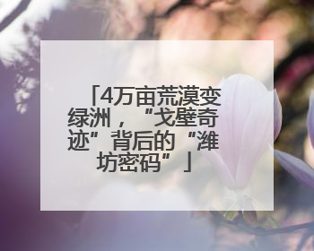4万亩荒漠变绿洲，“戈壁奇迹”背后的“潍坊密码”