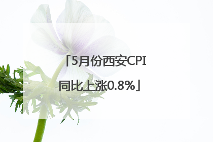 5月份西安CPI同比上涨0.8%