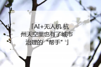 AI+无人机 杭州天空里也有了城市治理的“帮手”