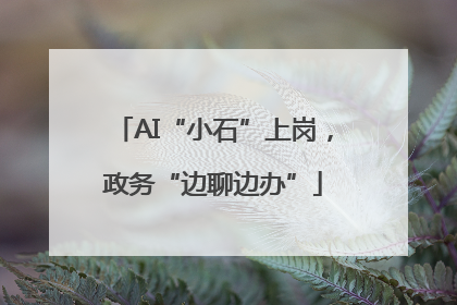 AI“小石”上岗，政务“边聊边办”