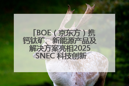 BOE（京东方）携钙钛矿、新能源产品及解决方案亮相2025 SNEC 科技创新赋能行业绿色发展