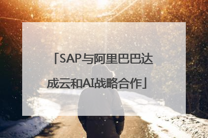SAP与阿里巴巴达成云和AI战略合作